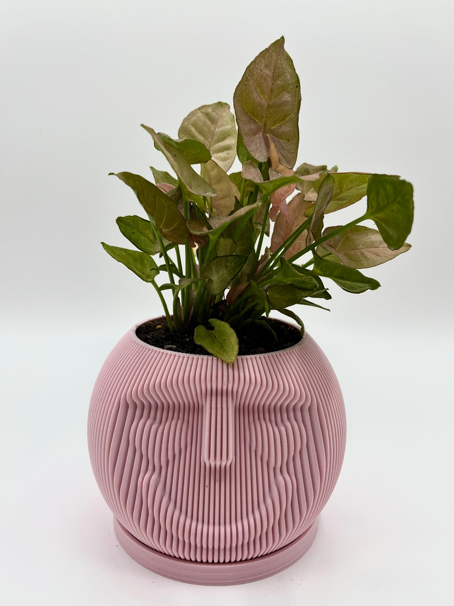 Kype Vase Matte Colours