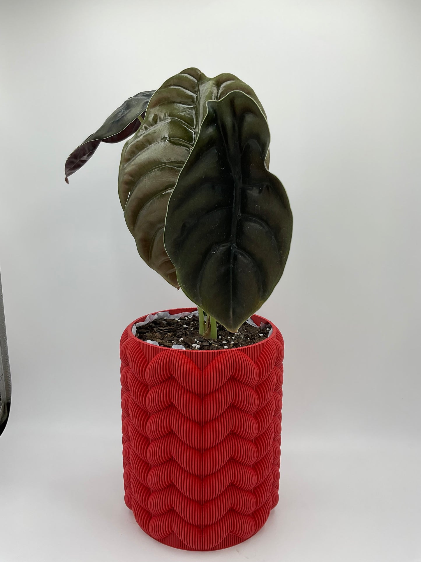 Ikatome Vase Matte Colours