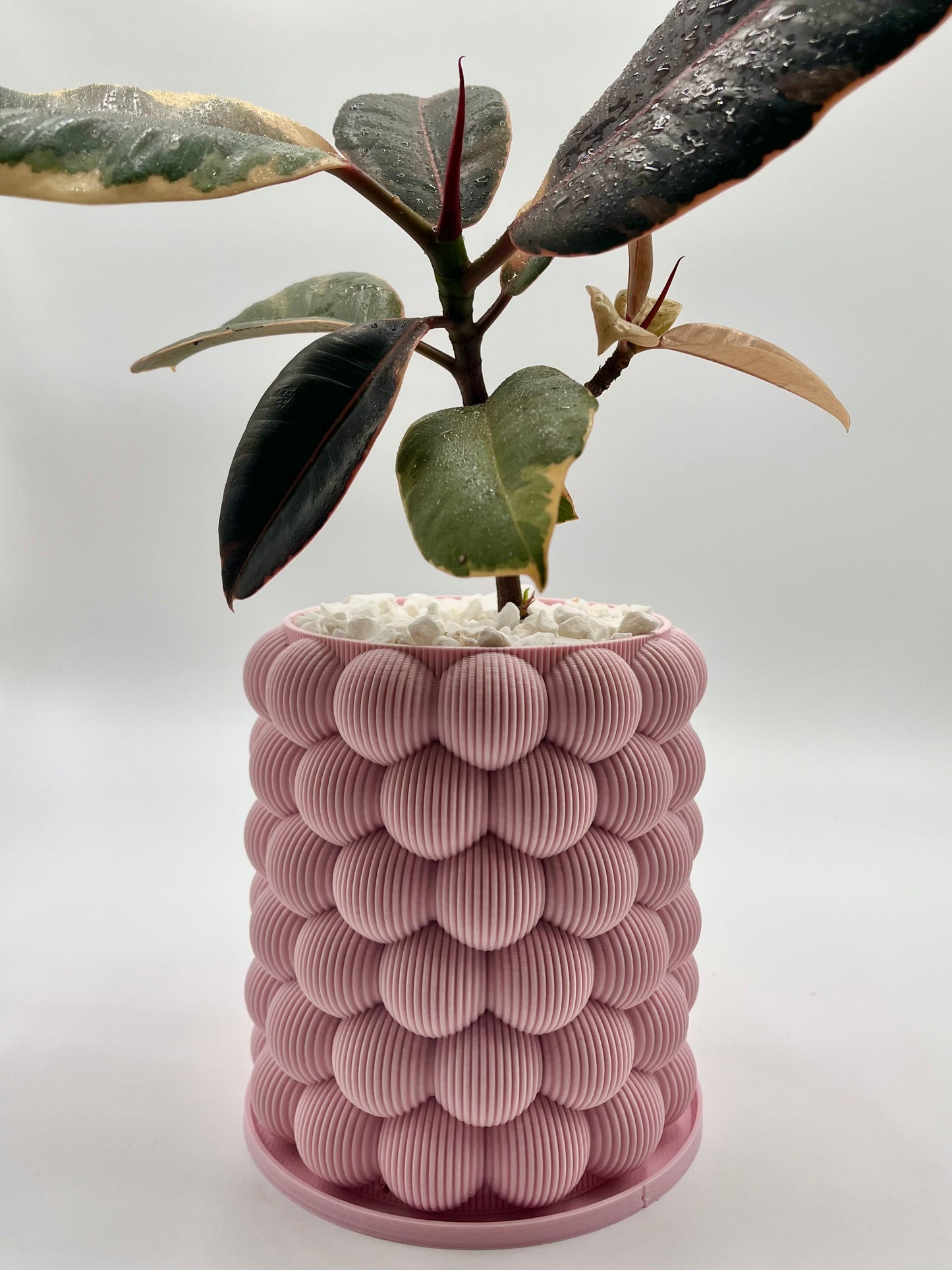 Pexeke Vase Matte Colours